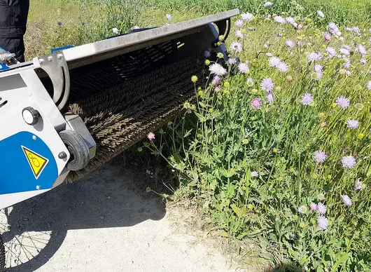 Ausbürsten von Samen Auf dem Bild ist ein Gerät zu sehen, mit dem Samen aus einem Vegetationsbestand ausgebürstet werden können.