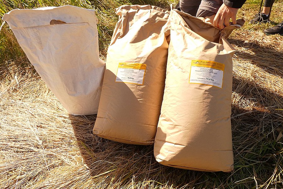 Zwei braune Papiersäcke mit der Aufschrift "Regionaatgut" stehen am Rand einer Wiese auf der Erde. Daneben steht ein kleiner weißer Sack ohne Aufschrift. Eine Person hat eine eine Hand an einem der Säcke.